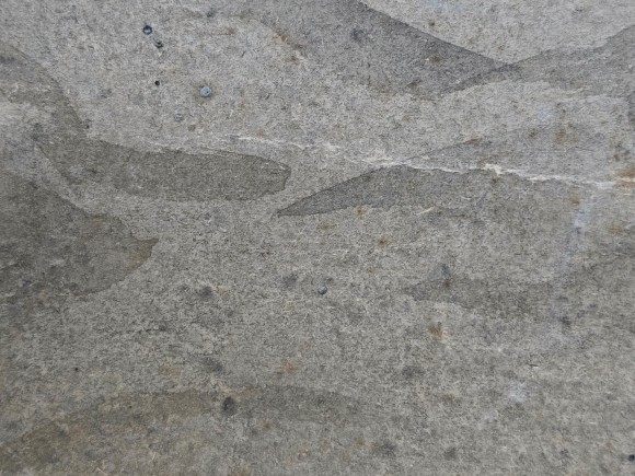 Картина Натюрморт, художник Наталья Морозова-Григорьева - продано