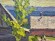 Painting Landscape, artist Konstantin Filatov