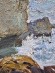 Картина Море. Камни, художник Николай Зайцев