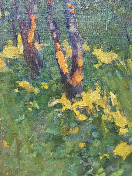 Картина Останній промінь, художник Георгій Павлюк