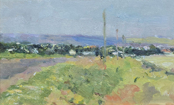 Painting Rural sketch, artist Nikolai Sheluto
