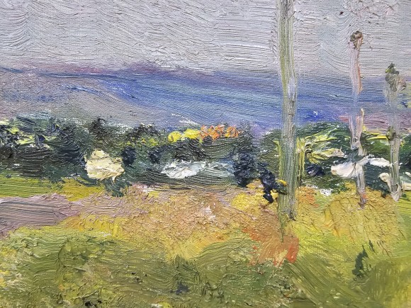 Painting Rural sketch, artist Nikolai Sheluto