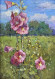 Painting Malva, artist Stupka Sergey